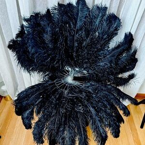 Black ostrich feather fans